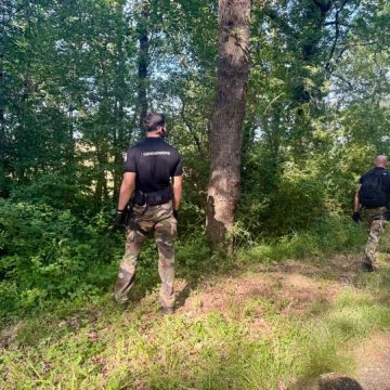 Nouvel effort militaire pour retrouver une disparue
