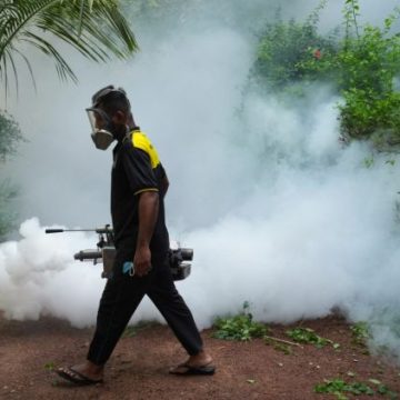 Le Sri Lanka frappe fort contre la dengue avec des drones et des moustiques &lsquo;Wolbachia&rsquo;