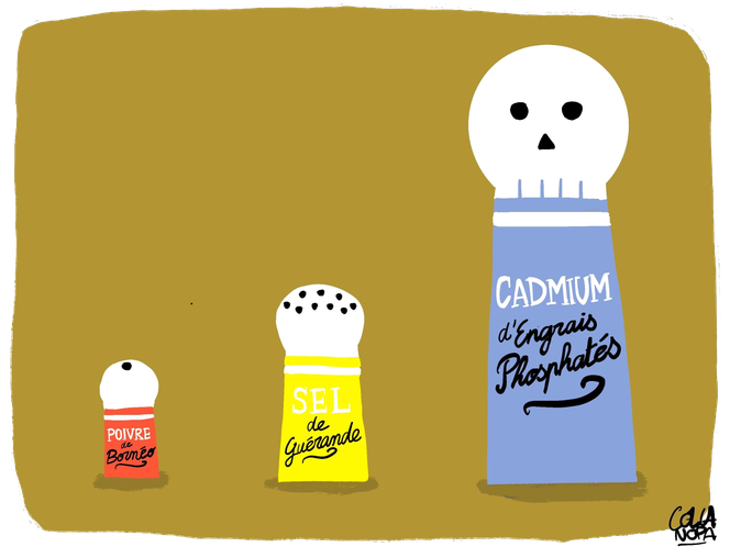 2c0bccbd-b0cb-4de5-9407-5dd3cec54e5f L’impact du cadmium dans notre alimentation quotidienne