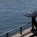Chaleurs extrêmes en France : Conséquences et mesures