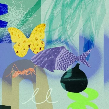 La beauté des synergies naturelles