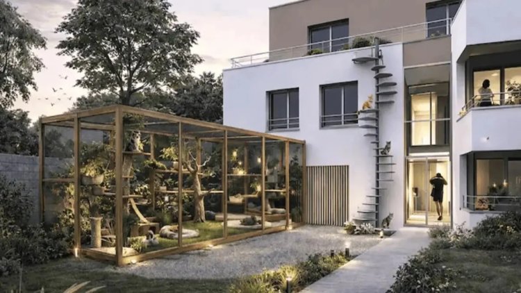 373e63b2-2c0b-43db-8799-44bd82a16a1e Résidence adaptée aux chats à Nantes : un projet innovant
