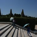 Report de la conférence nationale du handicap en raison de la canicule