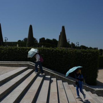 Report de la conférence nationale du handicap en raison de la canicule