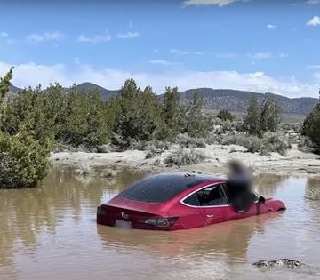 Tesla et l’homologation du FSD aux Pays-Bas