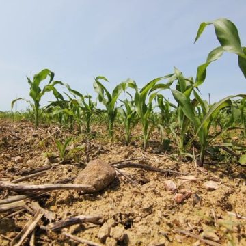 Le SAGE du bassin de la Vilaine mis à l’épreuve par la FNSEA