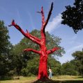 Impact de la Canicule sur la France : Enjeux et Réactions