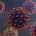 Le rôle controversé de Didier Raoult et l’hydroxychloroquine