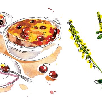 5ba0d403-d4c6-436c-93cc-42c8e2fb5f18 Recette de clafoutis aux cerises et mélilot par Anne Etorre