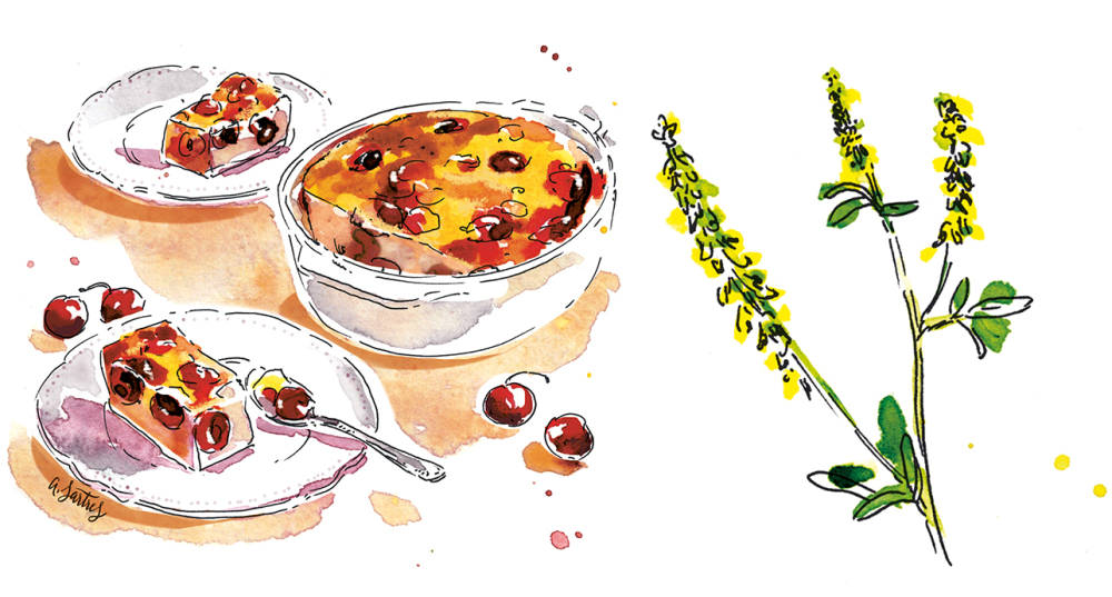 5ba0d403-d4c6-436c-93cc-42c8e2fb5f18 Recette de clafoutis aux cerises et mélilot par Anne Etorre