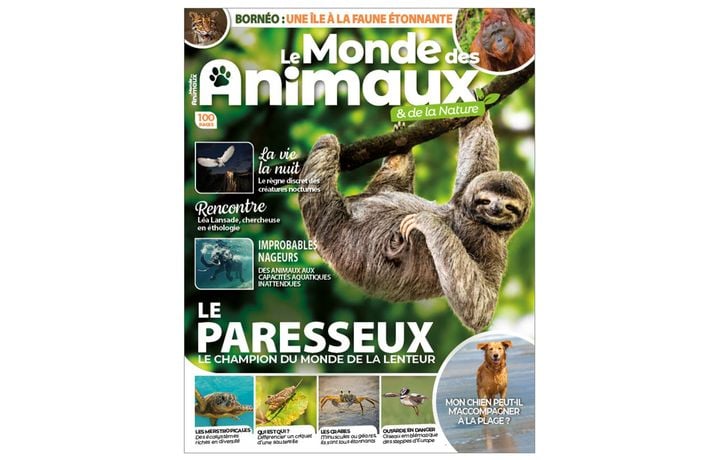 5d18293c-87f5-40bb-a3cc-00e31fb2263f Les oiseaux face aux vagues de chaleur
