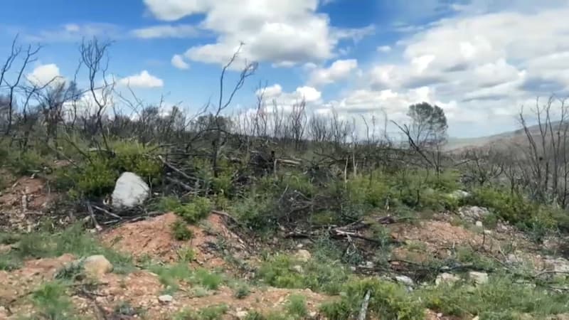 609cd1eb-f92f-4c13-bbf5-9f0fd1fe57d1 L’incendie des Corbières : enquête et conséquences