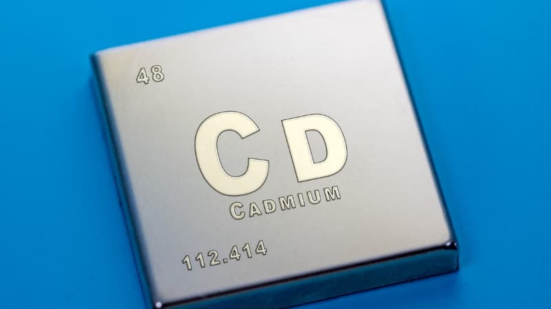 66ede437-5de3-4079-b770-543f2397a839 Remboursement du dépistage du cadmium en France