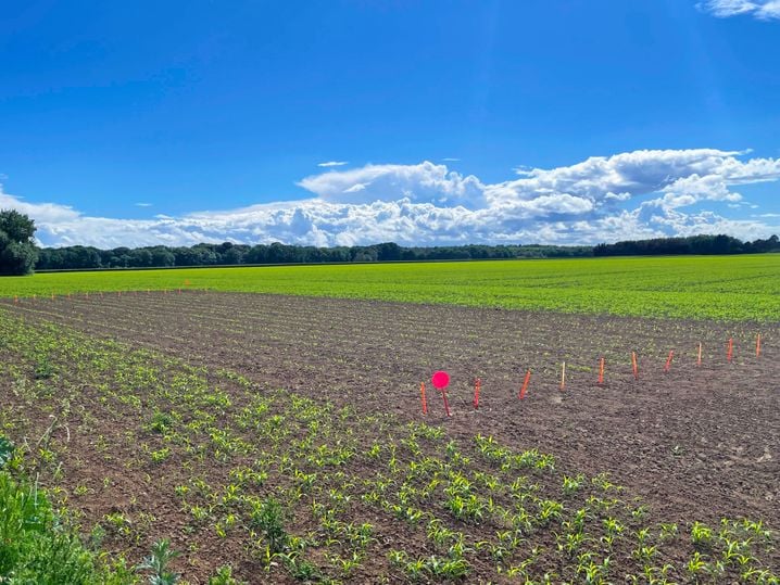75f30e0d-1bb6-4b4c-9072-c9ab62edafdf L’agriculture face aux vagues de chaleur : les innovations à la ferme expérimentale de Grignon