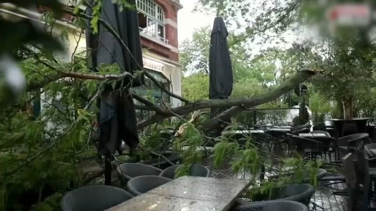 78d74425-691d-4524-a910-44b0302992c0 Orages Violents dans les Hauts-de-France : Dégâts et Témoignages