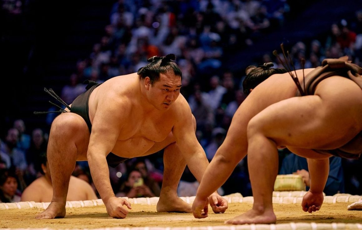 89dc0559-efc8-469e-a279-431a87bca806 Le retour du sumo en France