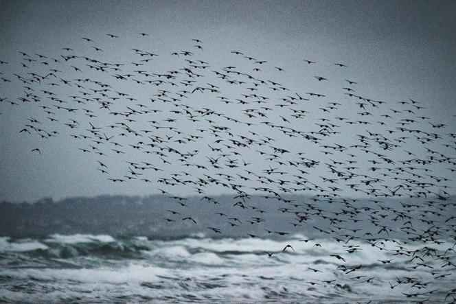 95e10d24-96bd-47b5-8d93-3e4c1b3ef1ad La France renforce les aires marines protégées sans nouvelles mesures de conservation