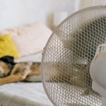Choisir le ventilateur adapté pour chaque besoin