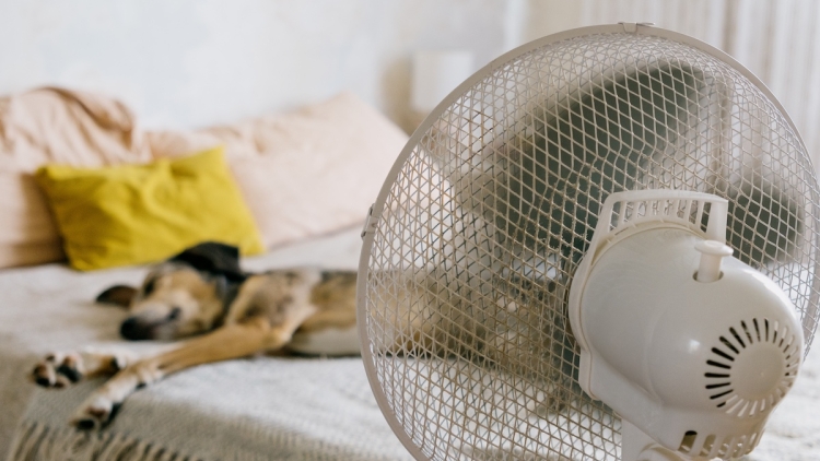 9ca08db7-4a61-43d0-8254-e5fe2970e9b9 Choisir le ventilateur adapté pour chaque besoin