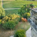 Exploration des Jardins Bordelais
