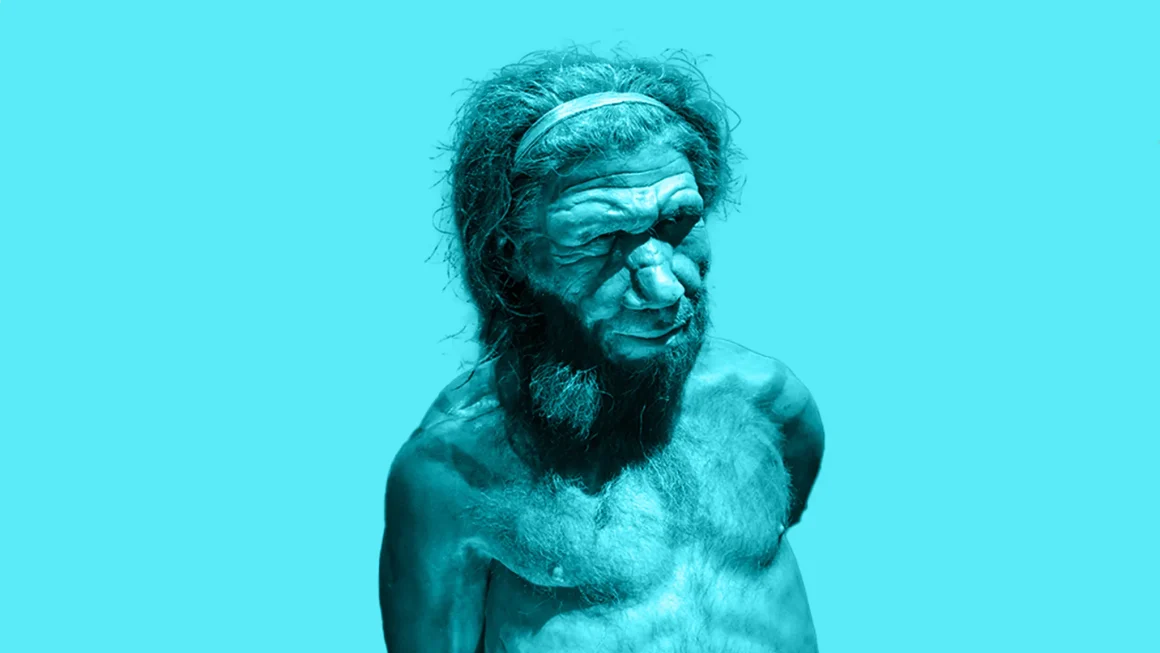 b40bc38d-1038-4d06-b78f-3fad6adf5e18 L’homme de Néandertal et ses habitudes révélées par ses dents