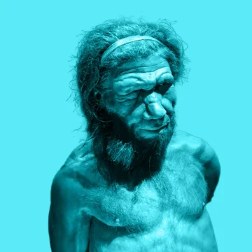 b40bc38d-1038-4d06-b78f-3fad6adf5e18 L’homme de Néandertal et ses habitudes révélées par ses dents