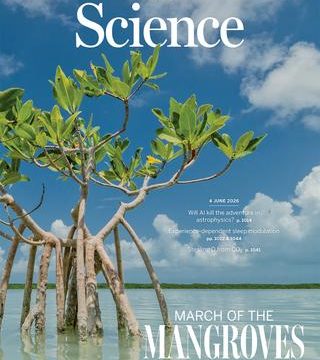 Les Mangroves : Un Écosystème en Régénération