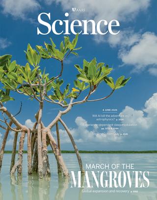 d3cee1c1-abcb-4075-84d5-7ec027443fdd Les Mangroves : Un Écosystème en Régénération