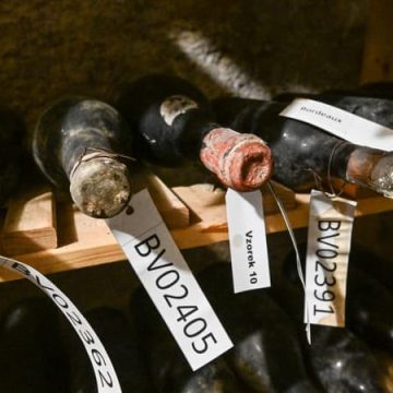 La Renaissance de Vieux Vins Bordelais Trouvés en République Tchèque