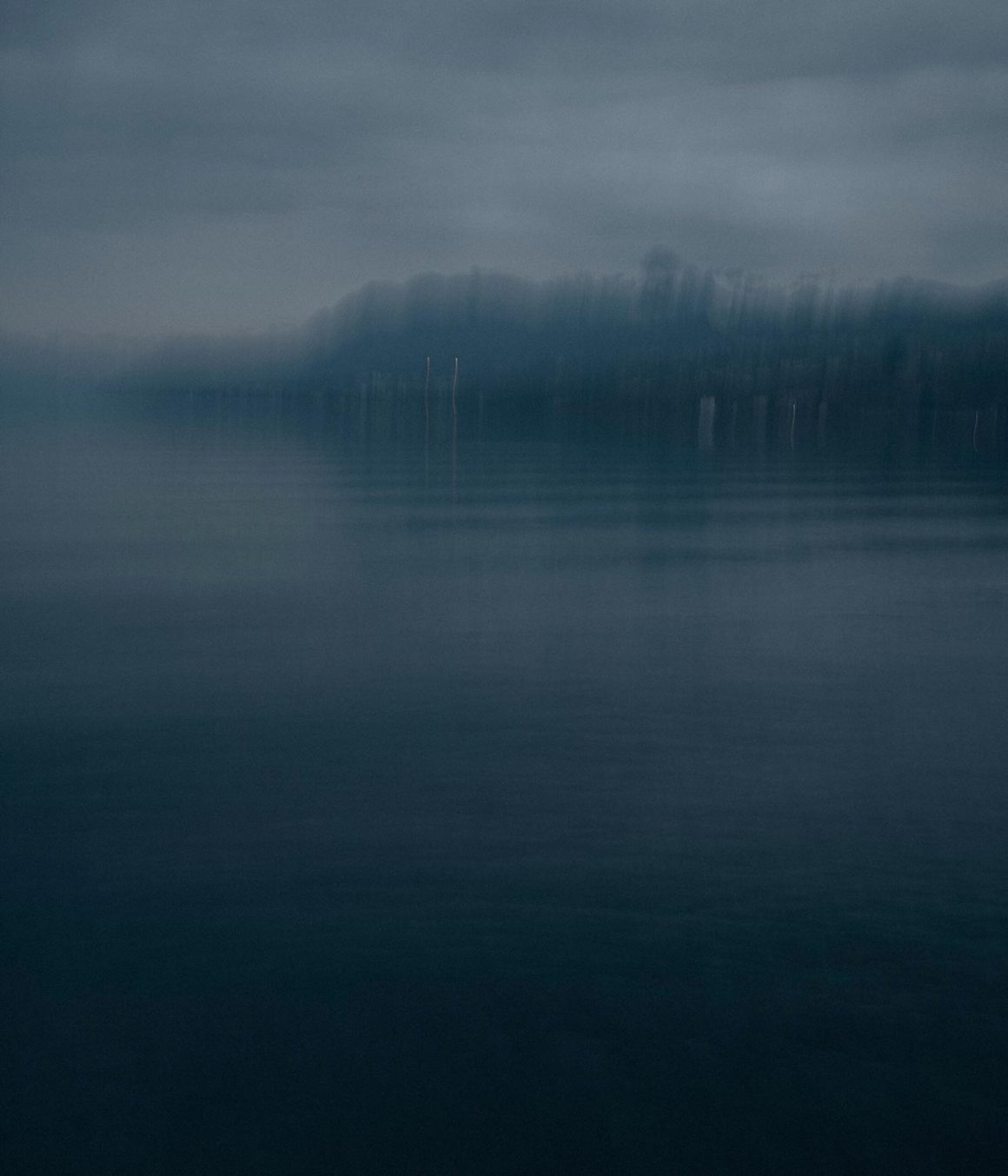 f08d079c-51a2-45b3-be9d-bdcb56f29a6b Réchauffement du Lac Léman : Un défi pour la biodiversité locale