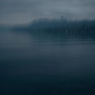 Réchauffement du Lac Léman : Un défi pour la biodiversité locale