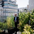 Le maire de Paris appelle à l’adaptation face aux canicules
