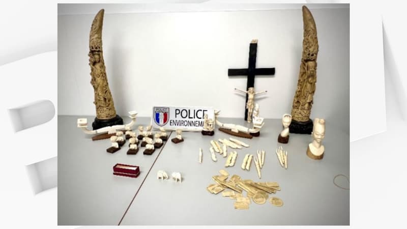 ffd634dc-0da3-4379-9313-fecf352e4119 Saisie d’objets en ivoire d’éléphant à Maroilles par l’OFB Nord