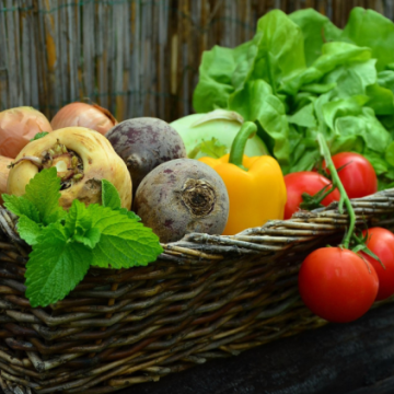 Prix des légumes et fruits : Impact des conditions climatiques