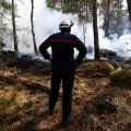 Les incendies en Seine-et-Marne : situation actuelles et analyses