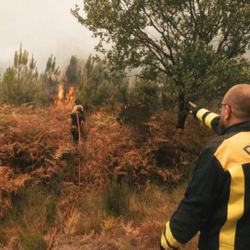06acc134-608e-462a-b9ec-02b03c4c5c09 Violents incendies en Gironde et dans d’autres régions