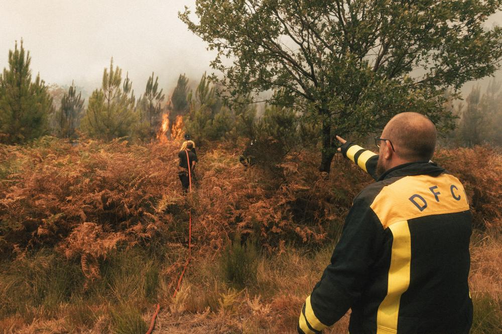 06acc134-608e-462a-b9ec-02b03c4c5c09 Violents incendies en Gironde et dans d’autres régions
