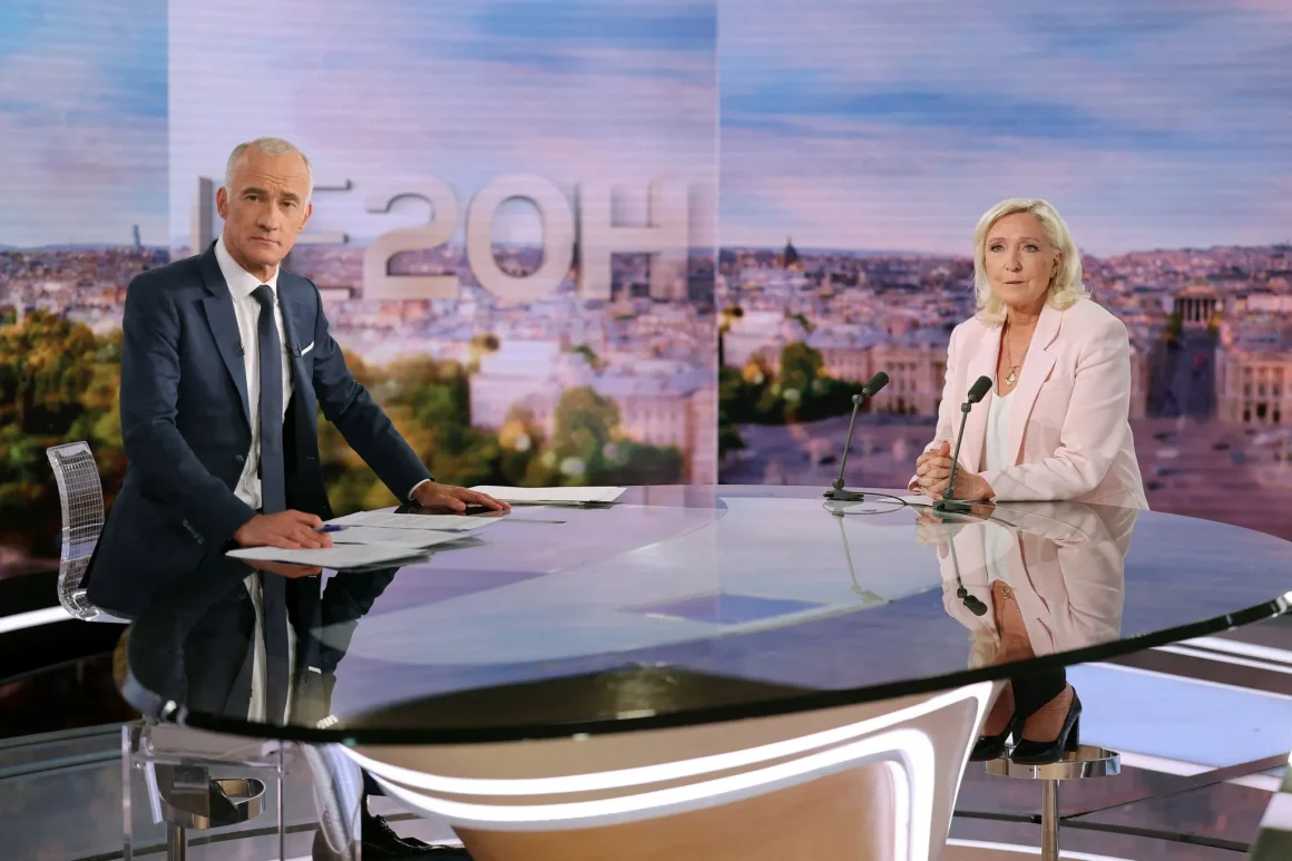 08826341-65a1-49ba-8bb4-81b2297cc072 Marine Le Pen et son Pourvoi en Cassation