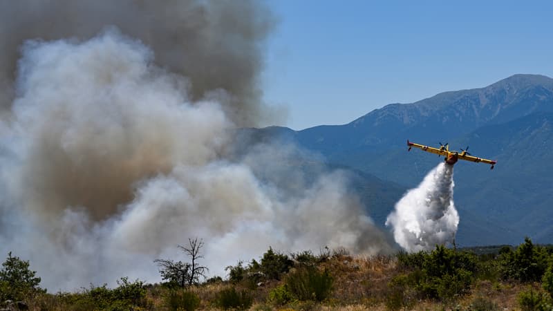 097fca95-6ffd-4740-b90e-367235f53466 Feux de forêt : situation critique dans le Sud de la France