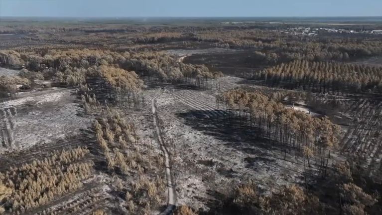 099a7e60-2cd2-4b95-99bc-b013c5a22636 Incendie dévastateur en Gironde : témoignages et impacts