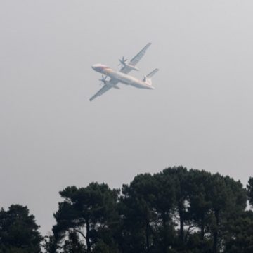0a806898-667f-42a0-aa42-60676aee16a1 Incendie dévastateur dans la forêt de Fontainebleau