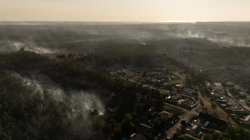 0ba31776-5786-418f-ad76-259e6c988c44 Incendies de Forêt en Gironde: Bilan et Interventions