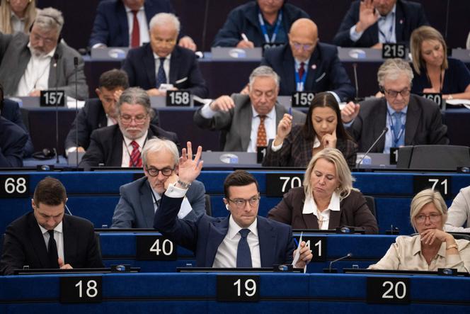 0d0b9a79-75b7-488a-8bd1-58ff07680eb2 Le Parlement européen et le Rassemblement national : une alliance controversée