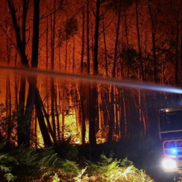 Flamap : Suivi des Incendies en Temps Réel