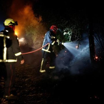 Incendie en forêt de Fontainebleau: Nouvelle alerte