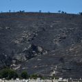 Reconstruction et Souvenir: Un an après l’incendie dévastateur à Marseille