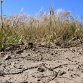 La gestion de l’eau face à des sécheresses de plus en plus fréquentes