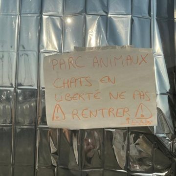 La vie des animaux lors de l&rsquo;évacuation à Bordeaux