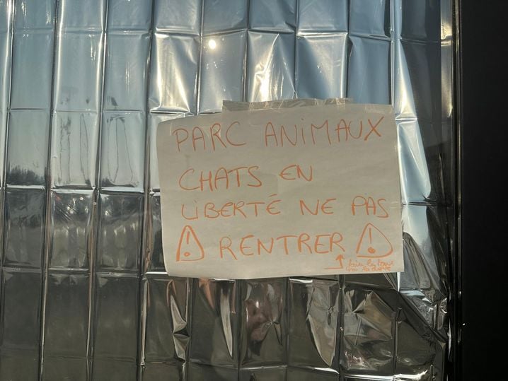 13dfa06b-4d47-42c5-a2b8-c9d9ce0c6580 La vie des animaux lors de l’évacuation à Bordeaux