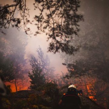 Deux Suspects Placés en Détention Provisoire pour Incendies à Fontainebleau